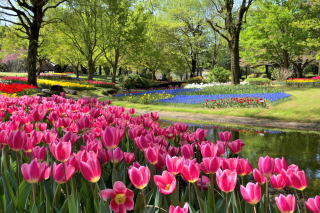 �J�E���Z�����O�@����