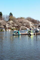 ac �A�_���g�`���h����