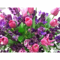 �A�_���g�`���h�����@�J�E���Z�����O